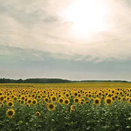 Der Valk Golfhotel - Adult Only Hotel